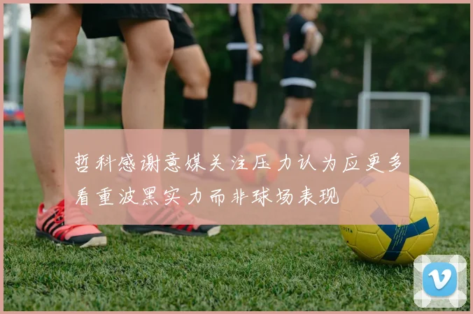 哲科感谢意媒关注压力认为应更多看重波黑实力而非球场表现